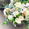 Elegant design in a stone pot. This airy and lush arrangement will