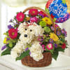 Birthday BR-A027