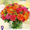 Birthday BR-A016