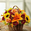 Thanksgiving HO-T037