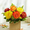 Thanksgiving HO-T042