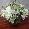 A variety of white flowers with mixture of greens in a bubble