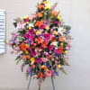 CELEBRATE THIER LIFE WITH THIS STUNNING BEAUTY OF VIVID COLORS .

FLOWERS TO
