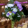 Mix color phalaenopsis 