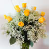 1 dozen yellow roses elegantly arranged in a 5&quot; x 12&quot; cylinder