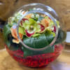 Tilted bubble bowl with cymbidiums !!