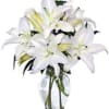 This stunning bouquet of white lilies will fill the whole house with