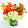Orange Blossom with Mini Calla Lilies, Orange Garden Spray Roses and Hydrangea