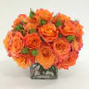 A Luxurious Garden Collection of Mandarin Roses in Various Shades of Orange