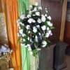 Why carnations write roses white mini carnations and much more color can