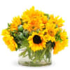 A bright and cheery arrangement in a low, round glass cylinder; fresh