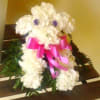 A Puppy created with white carnations a perfect gift for anytime any