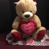 Soft plush animal for your valentine