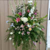 Mixture of flowers and colors