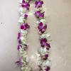 Order a beautiful double Orchid Lei for Graduation Season! Available in beautiful