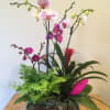 Orchids with other plants in a basket .