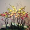 Yellow, Peach, Red, and light yellow mix in a rectangular wood pot.