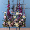  WINDOW BOX STANDING SPRAY