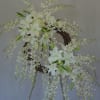 Pastel colors, mix of roses, lilies, hydrangeas, lisianthus.  Please see more