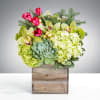 You&rsquo;re going home for the holidays, shouldn&rsquo;t your flowers get the same