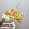 Very contemporary design with gorgeous French Tulips and Orchids - available in