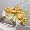 Very contemporary design with gorgeous French Tulips and Orchids - available in