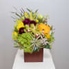 This awesome arrangement will make your moment memorable with Hydrangea, Air Plant