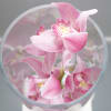 It&#039;s contemporary. It&#039;s gorgeous! It&#039;s stunning Orchids placed in a tall cylinder
