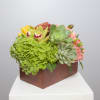 This artful arrangement is perfection for the gifted artist, musician, poet... anyone