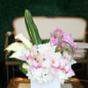 Beautiful blooms of orchid with a modern touch.