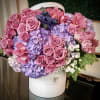 A grand look with magnificent blend of sugar plum hues bursting from