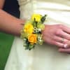 Different shade of yellows and white accents.