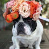 We custom make floral crowns. Simply send us a picture to flowerallie@gmail.com