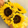 SAME DAY ORDERS PLEASE PLACE YOUR ORDER FROM 6AM-12PM TO ENSURE YOUR