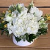 A round white ceramic vase filled with white hydrangeas, white lisianthus, white