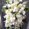 A beautiful mixture of white roses, white hydrangea, green hydrangea, white stock