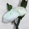 Boutonni&egrave;re - 1 white ranunculus with myrtle (picture shows 2 boutonni&egrave;res)