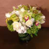 Green cymbidium orchids with rich white flowers will cause your friends green