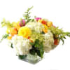A fluffy and dreamlike floral arrangement of Hydrangeas, ranunculus, roses, tulips in