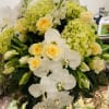 White phalaenopsis orchids with mounding hydrangeas give character to the garden and