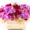 Assorted pink and red roses with white hydrangeas.