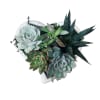 Remind your recipient that life would succ without them with this adorable