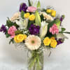 Perfect for any occasion 