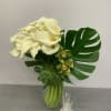 Elegancy with a touch of white.