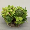 Gorgeous green toned arrangement with orchids, coffee bean, succulents, and our best