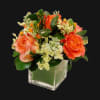 Let our Sweet Appreciation help send your message of regard and affection.