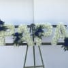 White cushion pom poms with choice of colored roses (shown dark blue