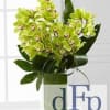 Denver Flower Pros offers this classic and exotic Cymbidium orchid arrangement .