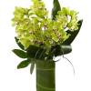Denver Flower Pros offers this classic and exotic Cymbidium orchid arrangement .