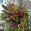 Tropical Easel 5&#039;4 tall.Colorful and brigth.